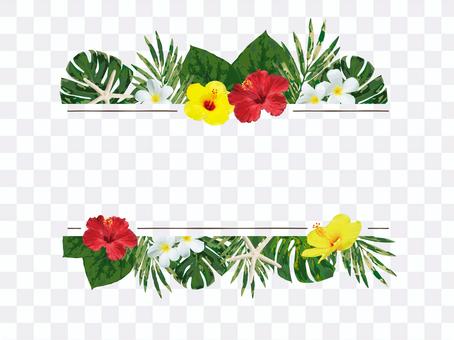 Hawaii Flower Frame 2 Hawaii Flower Frame 2