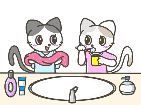 Twin cats brushing their teeth and washing their face in the morning Twin cats brushing their teeth and washing their face in the morning