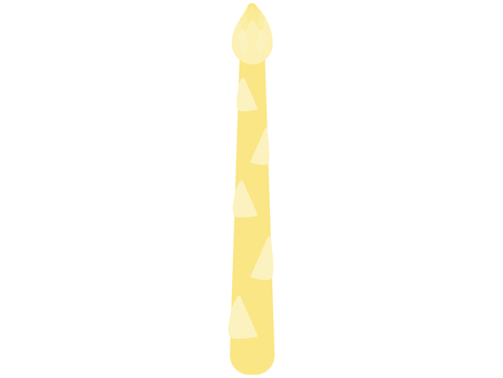 White asparagus White asparagus