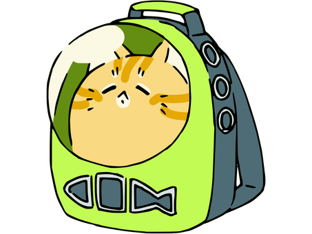 Loose tea tabby cat carry back Loose tea tabby cat carry back