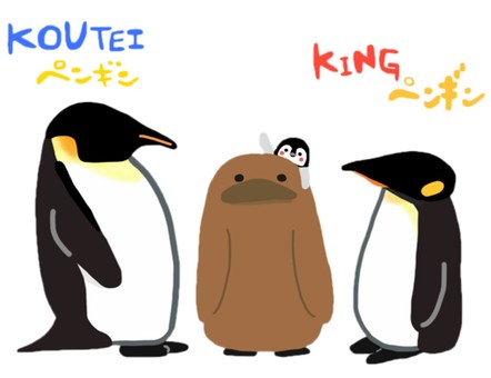 Emperor Penguin_King Penguin_Hina_Horizontal Emperor Penguin_King Penguin_Hina_Horizontal