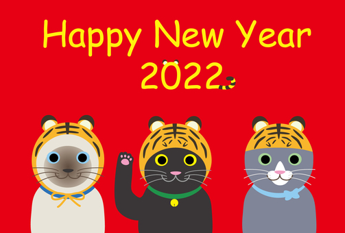 Tiger New Year's card 3 cats borrowing the power of a tiger Tiger New Year's card 3 cats borrowing the power of a tiger