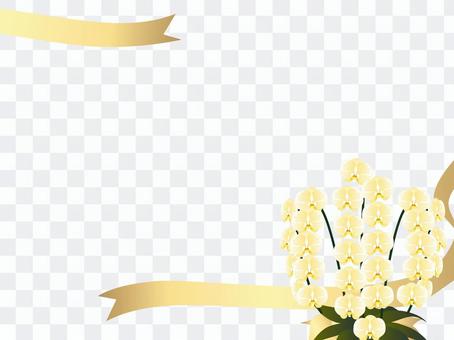Moth orchid frame Moth orchid frame