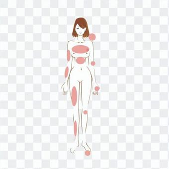 Female whole body (front / point) Female whole body (front / point)