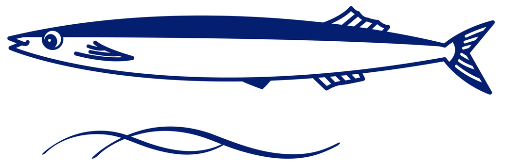 pacific saury pacific saury