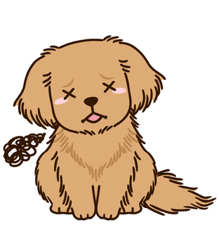 Disappointed golden retriever Disappointed golden retriever