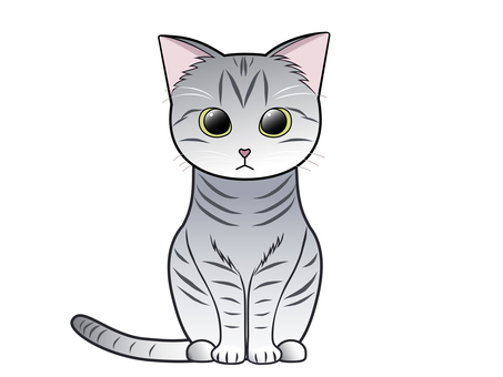 A cat that sits with its front legs aligned (Sabatra cat) A cat that sits with its front legs aligned (Sabatra cat)