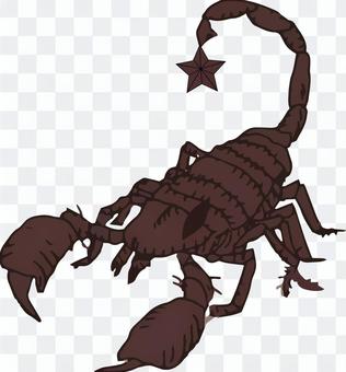 Scorpio illustration Scorpio illustration