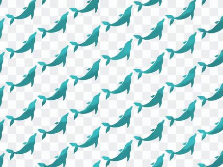 Dolphin pattern Dolphin pattern