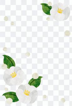 In cold sympathetic frame / white camellia In cold sympathetic frame / white camellia