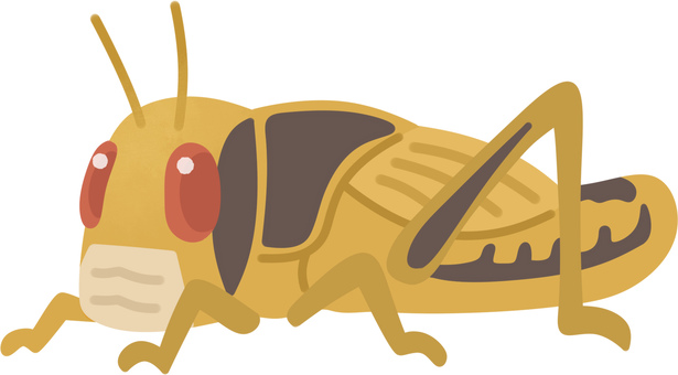 Desert locust (larvae and community fauna) Desert locust (larvae and community fauna)