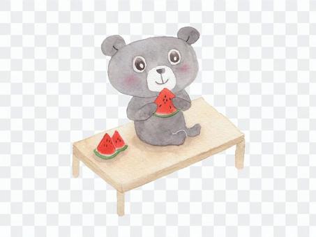 Bear and watermelon Bear and watermelon