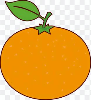 Mandarin orange Mandarin orange
