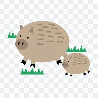 Parent and child of wild boar Parent and child of wild boar