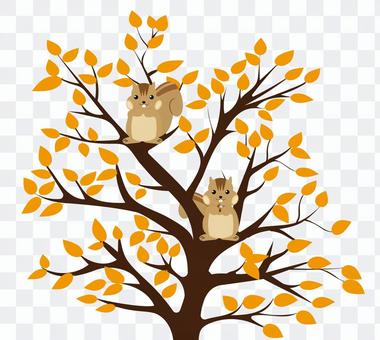 Squirrel and tree Squirrel and tree