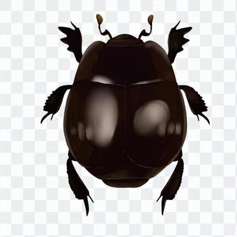 Scarab bug 2 Scarab bug 2