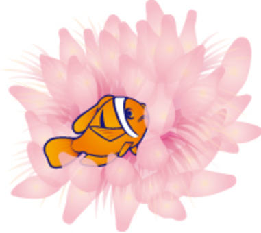 Anemone fish and sea anemones Anemone fish and sea anemones