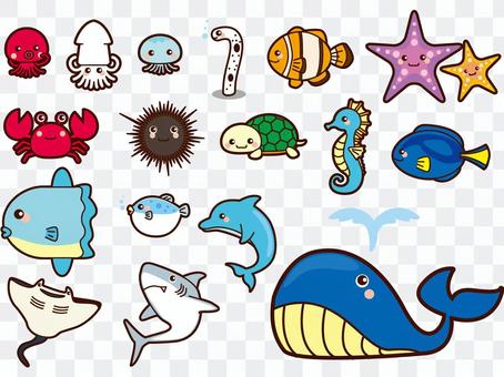 Illustration of sea creatures Illustration of sea creatures
