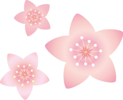 Peach blossoms Peach blossoms