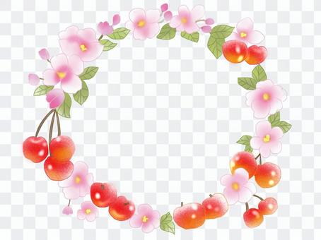 Princess apple Princess apple