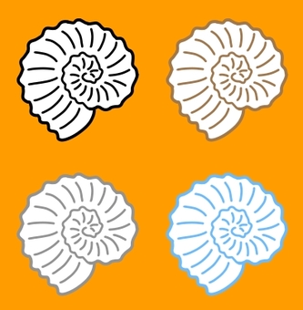 Ammonite fossil Ammonite fossil