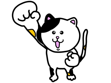 Cat to support Cat to support