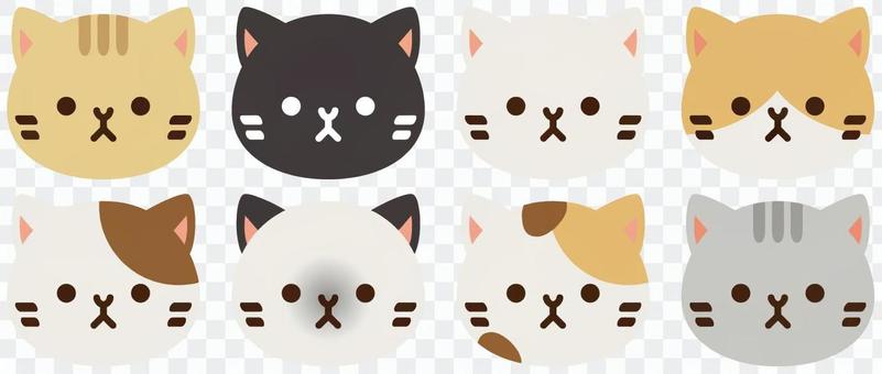 A cat assortment A cat assortment