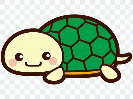 Turtle illustration Turtle illustration