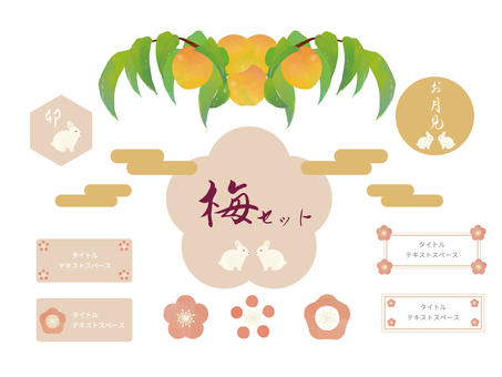 Light-colored plum set Light-colored plum set