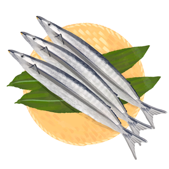 Autumn taste saury Autumn taste saury