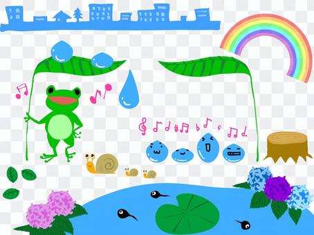 Cut rainy season frog Cut rainy season frog