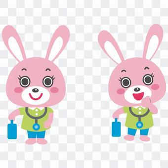 Rabbit visiting nurse Rabbit visiting nurse