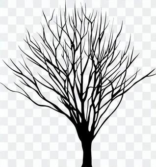 Dead tree _ silhouette Dead tree _ silhouette