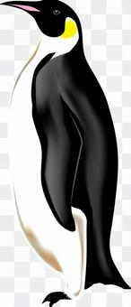 Penetration Penguin Penetration Penguin