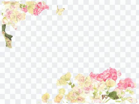 Letter background 17 - Begonia Letter background 17 - Begonia