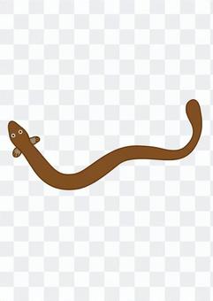 Eel 2 Eel 2