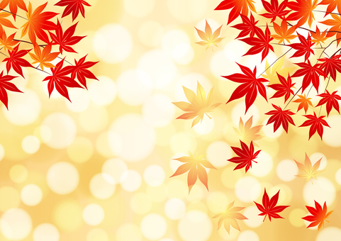 Autumn leaves and light fluffy background horizontal Autumn leaves and light fluffy background horizontal