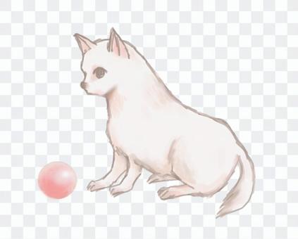 Dog and ball Dog and ball