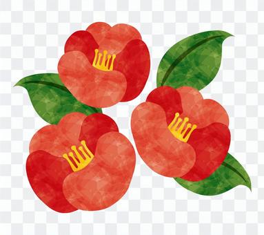 Winter flower / red camellia Winter flower / red camellia