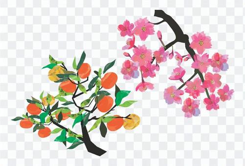 Sakura Fusuma Sakura Fusuma