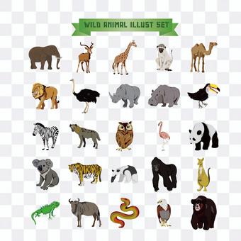 Animal illustrations Animal illustrations
