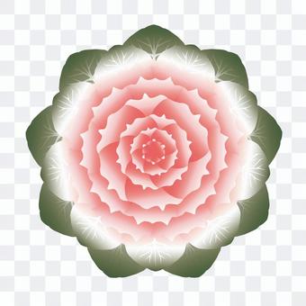 Leaf peony Leaf peony