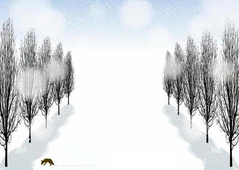 Poplar row of trees street tree winter landscape 1 Poplar row of trees street tree winter landscape 1