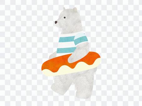 Polar bear with a swim ring Polar bear with a swim ring