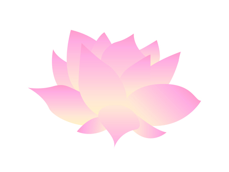 Water lily flower illustration Water lily flower illustration