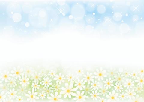 Flower field and sky scenery 01 Flower field and sky scenery 01