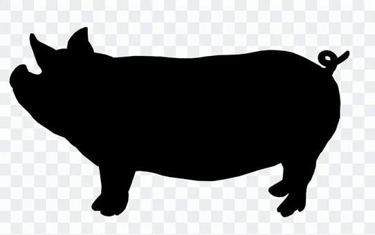 Pig silhouette Pig silhouette