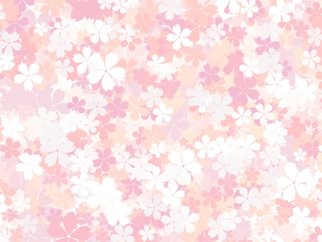 Cherry blossom background wallpaper Cherry blossom background wallpaper