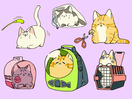 Loose cat set 3rd Loose cat set 3rd