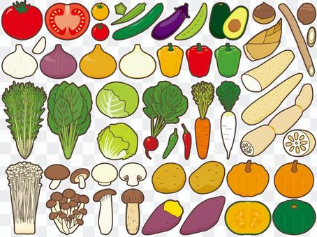 There are various kinds of vegetables such as vegetables There are various kinds of vegetables such as vegetables